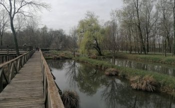 Acquario di Ariis