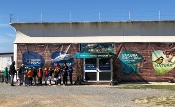 Mondo Marino Aquarium