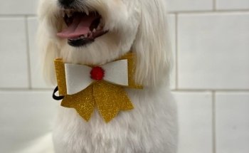 Piccolozoo s.r.l