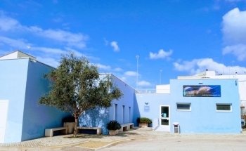 Aquarium of Salento