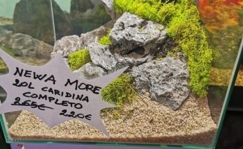 Acquario Croce Coperta