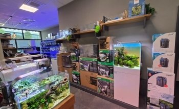 Acquario Croce Coperta
