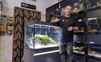 Acquario Croce Coperta