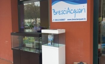 BresciAquarium