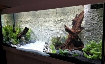 Aquarium Angri