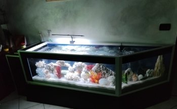 Acquariomania