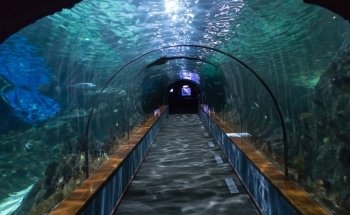Aquarium