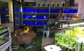 Aqua Golden Aquariums and Lakes