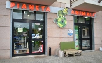 Animal Planet