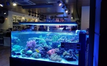 SEABOX AQUARIUM & PETS Srl