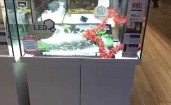 SEABOX AQUARIUM & PETS Srl