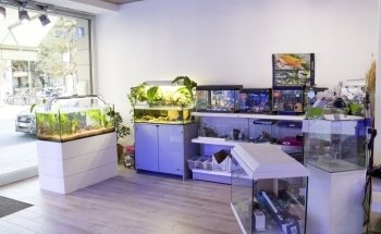 SEABOX AQUARIUM & PETS Srl