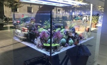 SEABOX AQUARIUM & PETS Srl