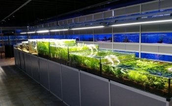 Aquarium Center Trento s.n.c. di Visintainer Carlo & C.