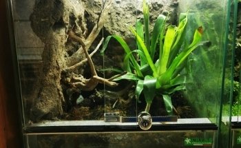 Aquarium Center Trento s.n.c. di Visintainer Carlo & C.