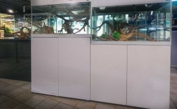 Aquarium Center Trento s.n.c. di Visintainer Carlo & C.