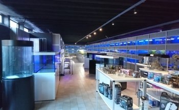 Aquarium Center Trento s.n.c. di Visintainer Carlo & C.