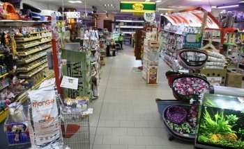 sala del cane