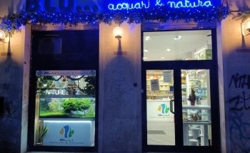 Blu Aquariums and Nature by Ranucci Alex