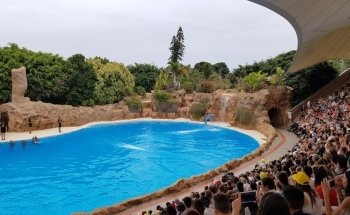 Dolphinarium