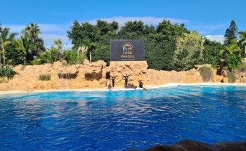 Dolphinarium