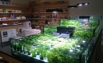 Natura Acquario