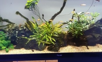 Natura Acquario