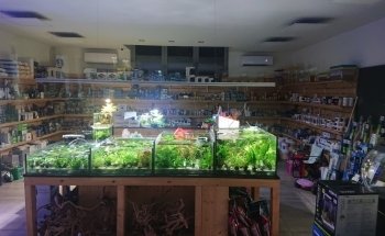 Natura Acquario