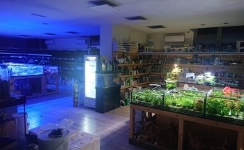 Natura Acquario