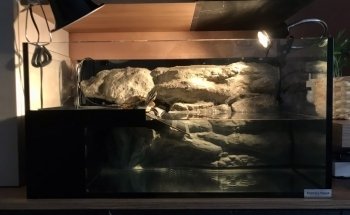 Acquari su misura artigianali - AcquarioPro