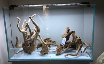 Acquari su misura artigianali - AcquarioPro