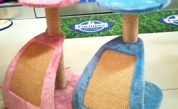Cucciolandia