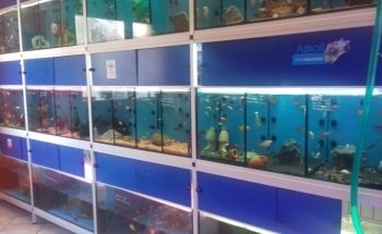 Caber Aquarium