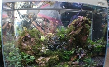 AcquariShop