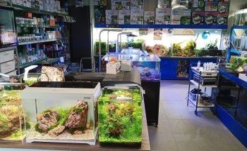 AcquariShop