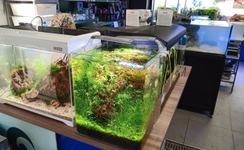 AcquariShop