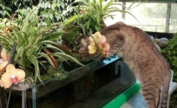 AcquariShop