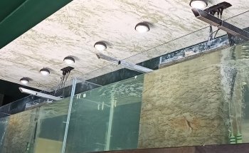 Elite Aquariums