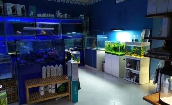 AquaPolis di Daniele De Luca