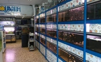 aquarium