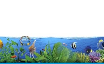 PRODAC International