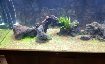 PRODAC International