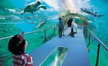 Aquarium