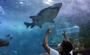 Aquarium