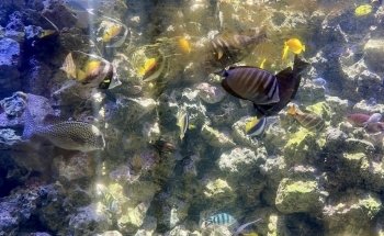 BlueWorld Aquarium