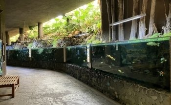 BlueWorld Aquarium
