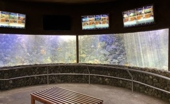 BlueWorld Aquarium