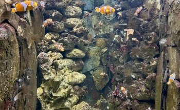 BlueWorld Aquarium
