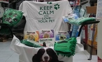 Pedigree Pet Shop Copparo