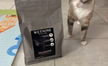 Pedigree Pet Shop Copparo